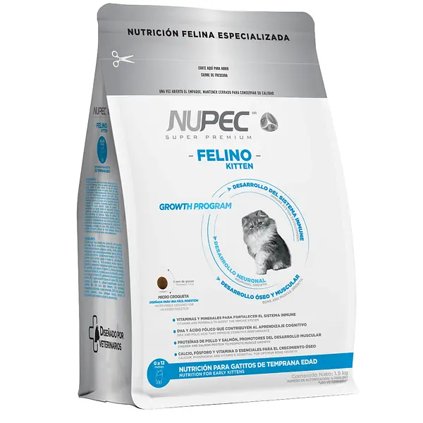Nupec Felino - Kitten