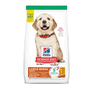 HILLS CACHORRO LARGE BREED LAMB 7KG