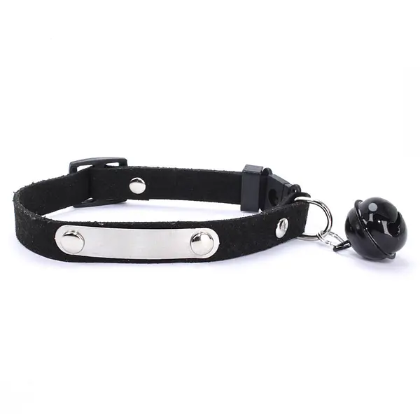 Collar Con Placa