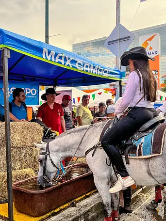 Galería Instagram