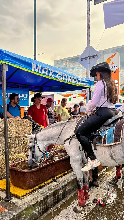 Galería Instagram